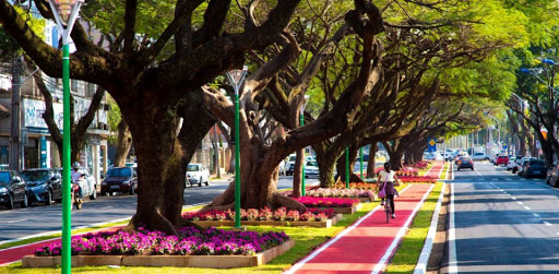 Ciclovia da Avenida Brasil, em Maringá, durante o dia, com flores e uma ciclista.