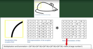 Tutorial de rede convolucional