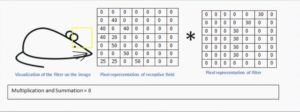 Tutorial de rede convolucional