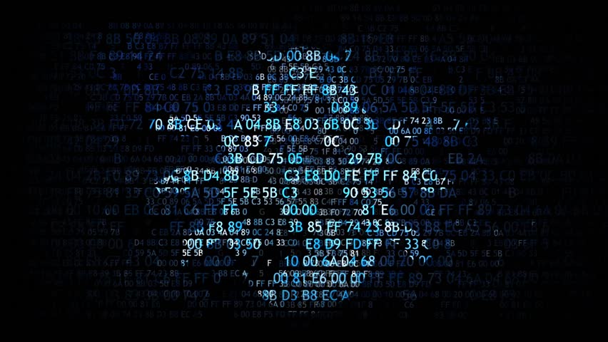 Pragas Do Teste De Software
